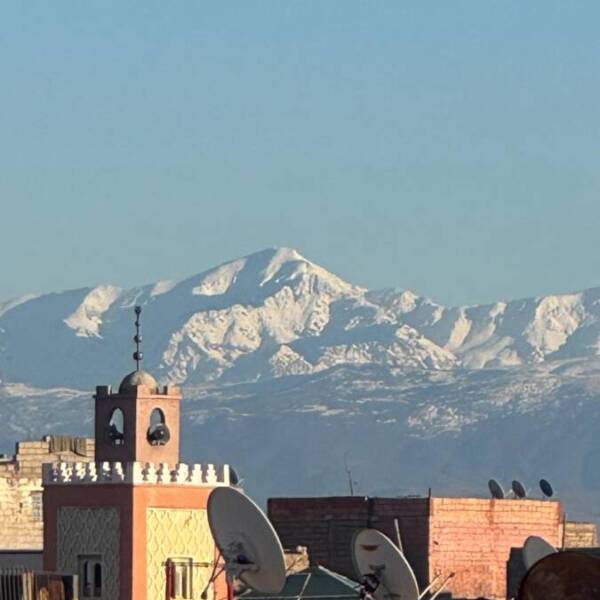 16c2e4e6-8d32-4a79-b4e6-1f2c531c99a6