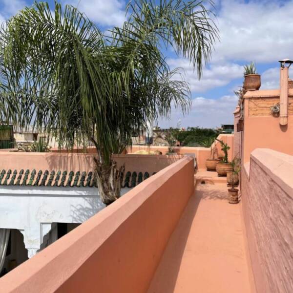 Rare! splendide riad 19ème