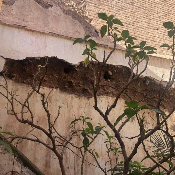 PHOTO-2024-04-11-14-32-49 5