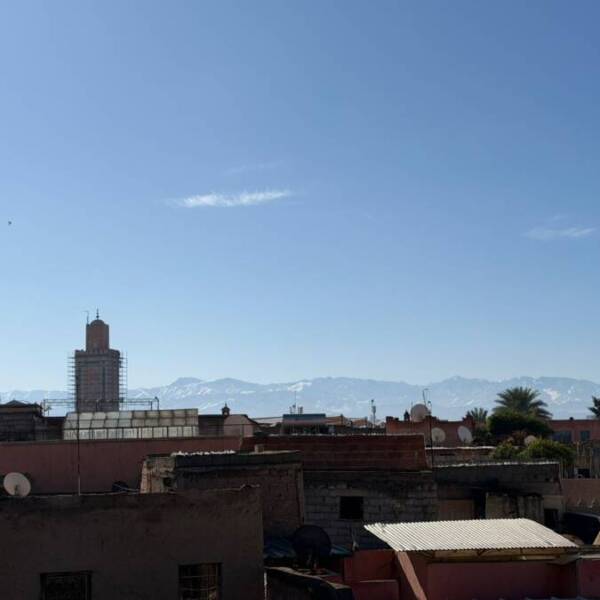 PHOTO-2026-01-23-17-16-43 2