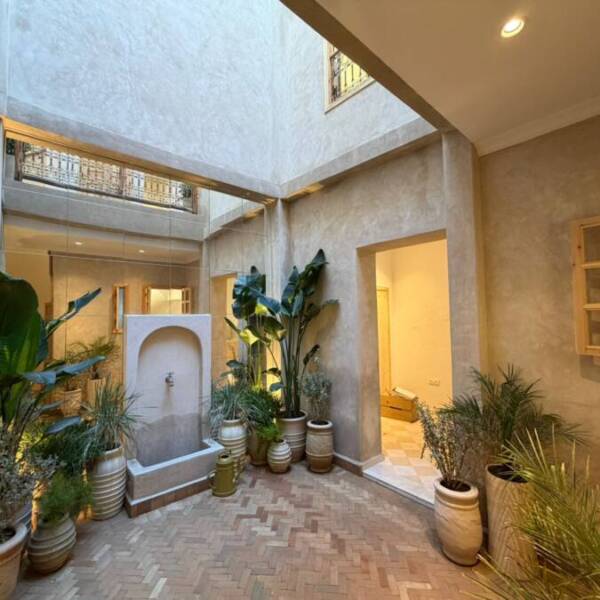 PHOTO-2026-01-23-17-16-44