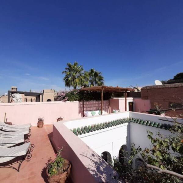 PHOTO-2026-02-14-10-15-54 4