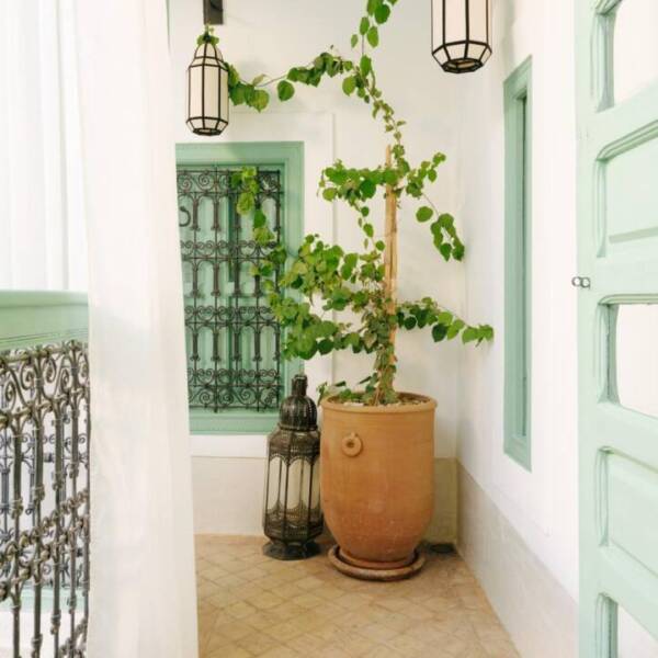 PHOTO-2026-02-28-11-38-24 25