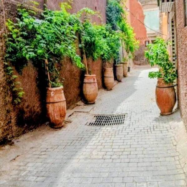 b5a2446e-9022-4bc3-bfe2-e2c8cc6e0cb5