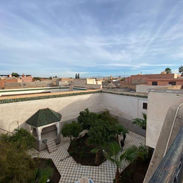 d026981c-d5f4-456b-b9dc-cbecb16d4a1d